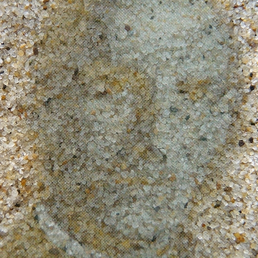 FACE2-EMPREINTE