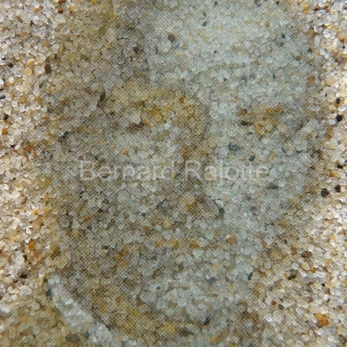 FACE2-EMPREINTE