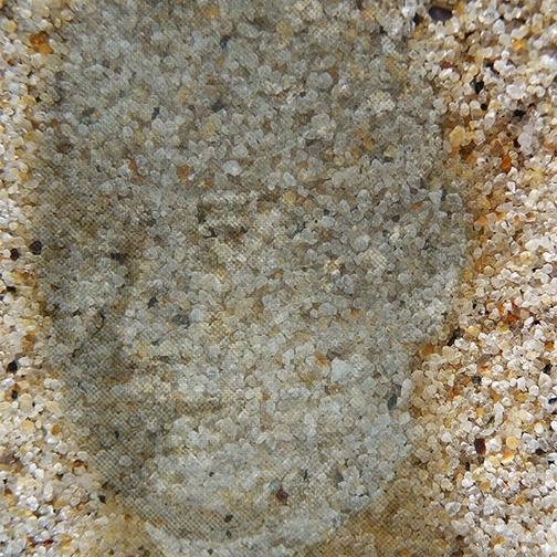 FACE3-EMPREINTE