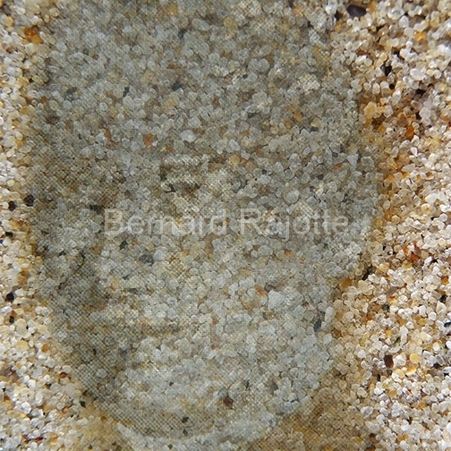 FACE3-EMPREINTE