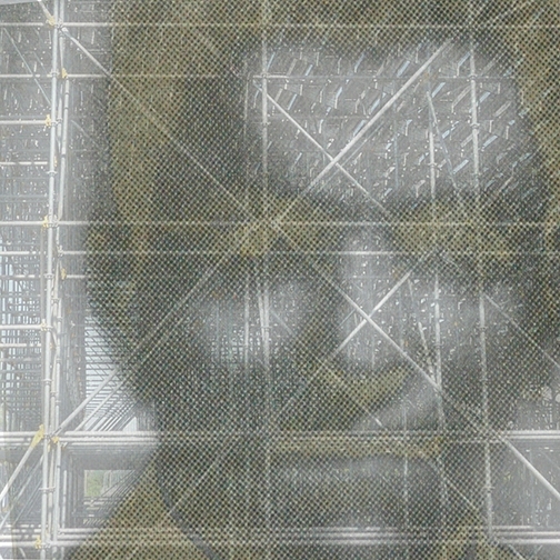 FACE7-EMPREINTE