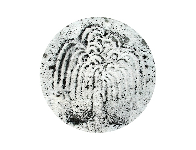 pierre4492